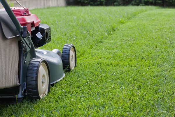 Lawn Care Service in Niceville