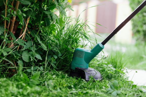 Weed Whacking in Niceville