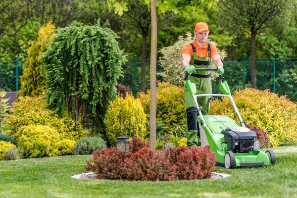 Yard Service in Niceville