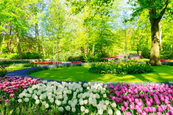 Spring Lawn Care in Niceville