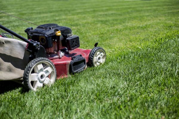 Cost of Routine Lawn Care in Niceville