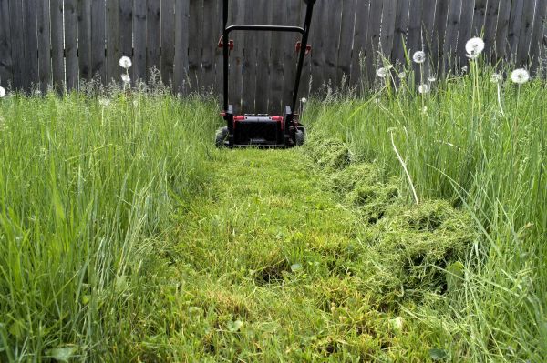 High Grass Mowing in Niceville