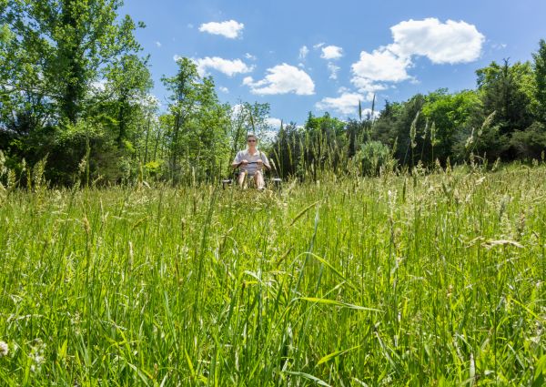 Long Grass Mowing in Niceville