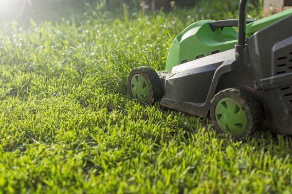 Cost of Lot Mowing in Niceville