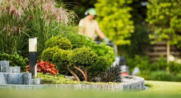 Residential Yard Maintenance in Niceville
