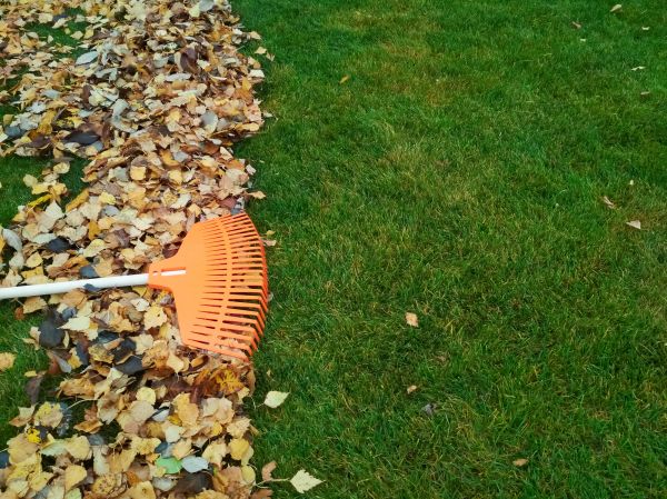 Fall Lawn Care in Niceville