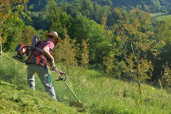 Slope Mowing in Niceville