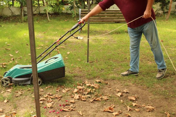 Leaves Mowing in Niceville