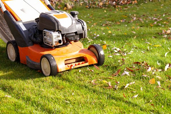 Cost of Fall Mowing in Niceville