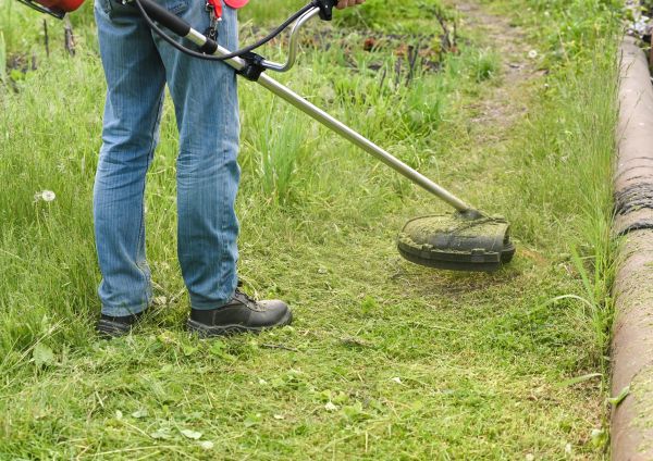 Cost of Tall Grass Trimming in Niceville