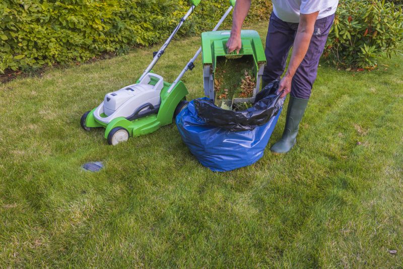 Business Lawn Maintenance detail