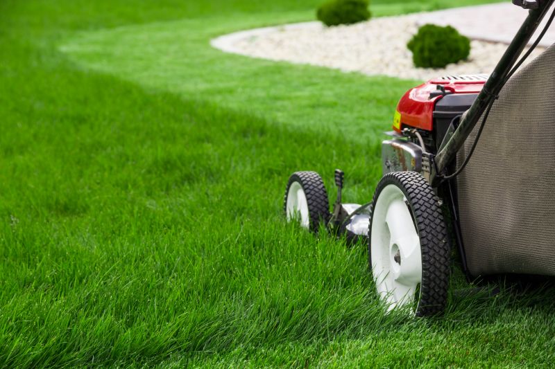Healthy Lawn Mowing