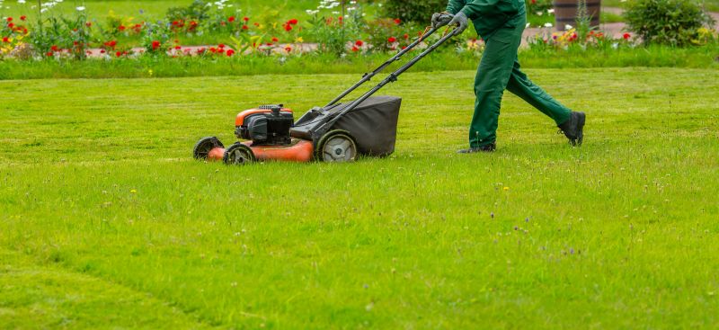 Lawn Care Companies